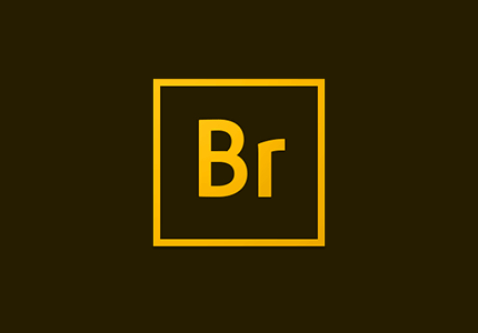 Adobe Bridge 2017-2020 简体中文版-极简系统